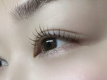 ハーフバックス 堀之内店/ラッシュリフト