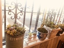 メナードフェイシャルサロン アリュール/