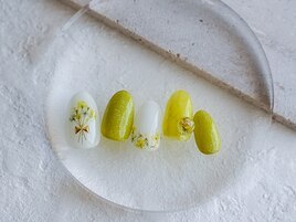 定額デザインBコース
