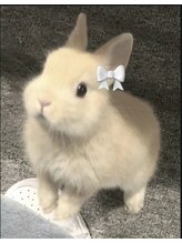 フォルトナ(Fortuna) と とみ