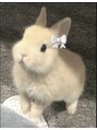 フォルトナ(Fortuna) と とみ