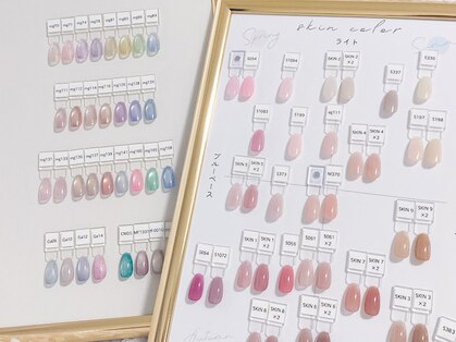 アノア(Anoa)の写真