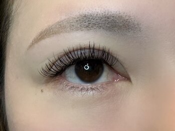 フリー#240(Free#240)/ダブルフラット200本