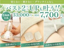 美人バスト 豊橋店