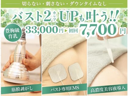 美人バスト 豊橋店の写真