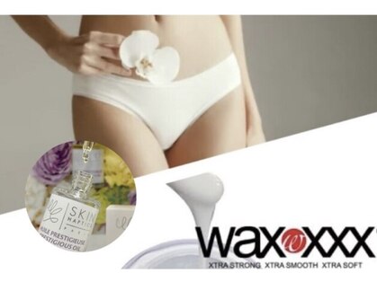 ミモザ(MIMOZA)の写真