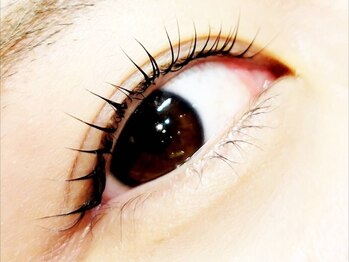 メルク(MELK)の写真/細い/短い/切れやすい/伸びにくい繊細なまつ毛に"毛質改善パーマ"の選択を!芯のある健康なロングまつ毛に◎