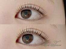 ラテール(La Terre)