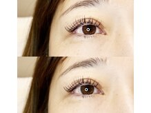 シック(Chic)/フラットマットラッシュ140本