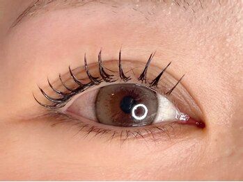 ラシク ゼロ 草加駅前(Lashiku Zero)/フラットラッシュでナチュラル