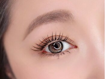 ヴィフ(Vif)/フラットラッシュ