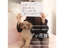 トゥインクル 麻布(twinkle)/南麻布/白金高輪/広尾/小顔矯正