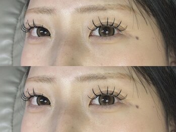 コル(col.)/BINDLOCK60