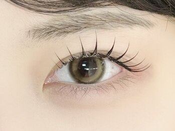 ネリネ 博多(nerine)/アンドヘルシー100本