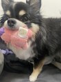 スターラッシュ 梅田店(Star Lash)&nbsp;愛犬お気に入りのオモチャはビリケン人形★