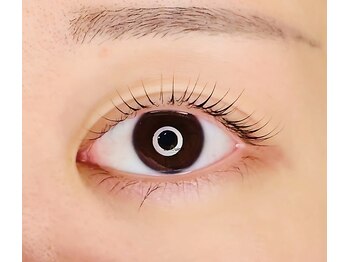 ルクイン 恵比寿 白金(Le Quinn)/ナチュラルカール[まつげパーマ]