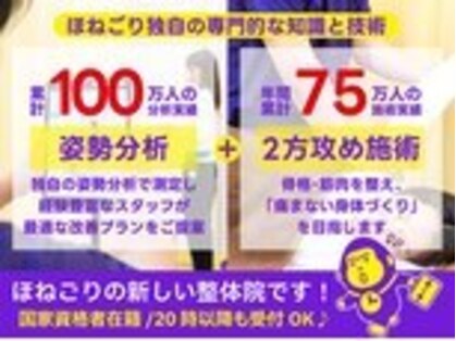 ほねごりmini整体院 秦野水神院【5/1 NEW OPEN（予定）】の写真