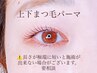 【ご新規様限定】上下まつ毛パーマ　¥8500 ※注意事項あり