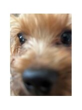 ポノサロン(pono salon)/早起きです