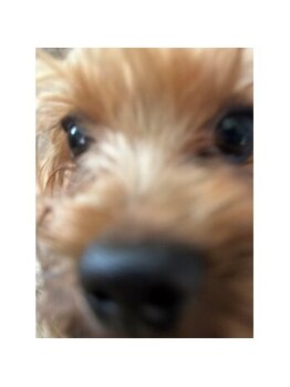 ポノサロン(pono salon)/早起きです