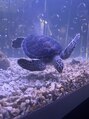 ルネミア(LuNemia)&nbsp;夏には絶対水族館にいっています♪お魚を食べるのも好きです。笑