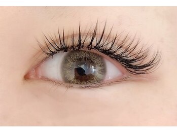 ロコ(Loco by neolive)/フラットラッシュ 120本