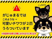 お客様都合の隔離は出来ません。苦手な方はご来店をお控え下さい