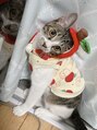 ウノア(unoa)&nbsp;可愛い猫ちゃんと日々過ごしてます♪