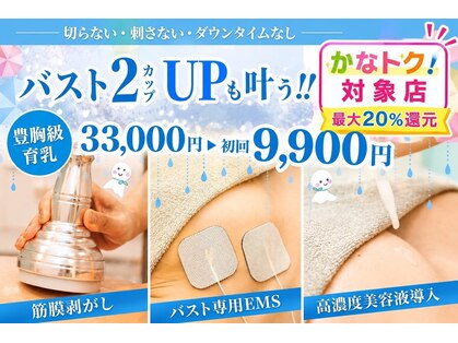 美人バスト 川崎店の写真