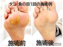 遊歩堂