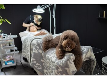 ソルテ バイ アフェリーチェ(sorte by afelice)/ワンちゃんと通えるサロン