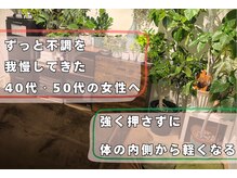 リセットモア(Reset More)