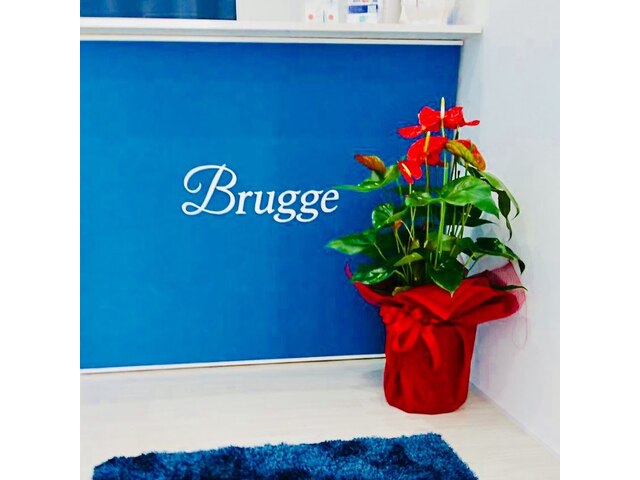 Brugge Men's Lady's Salon 【ブルージュ】