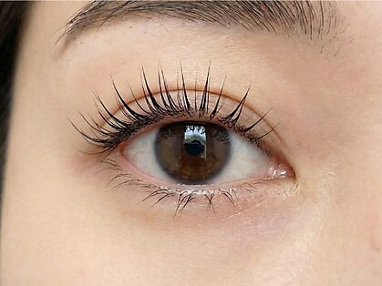 ザエステショップの写真