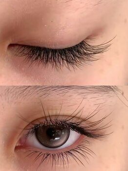 パンダアイラッシュ 上野(panda eyelash)/