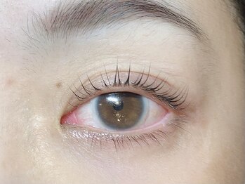 リブスタイル(Lib-Style)/パリジェンヌラッシュリフト上下