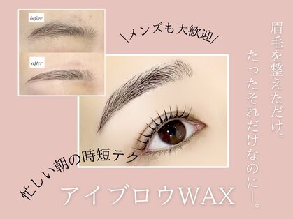 イオロ(iolo)の写真