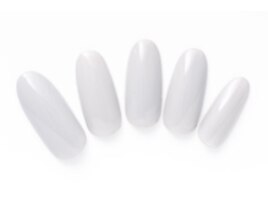 Winter collection冬の新カラー