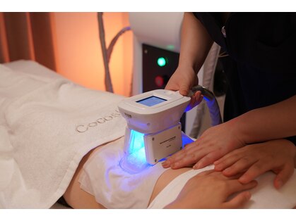 ココシア(Cocoshia)の写真