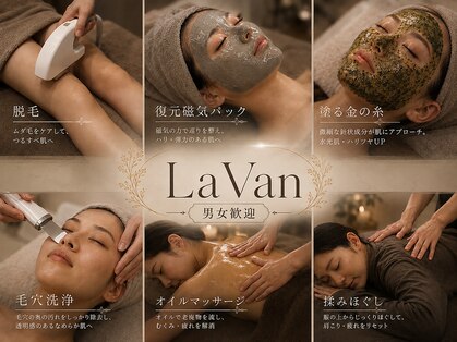 ラヴァン(LaVan)の写真
