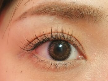 ロージー(Rosie)/160本