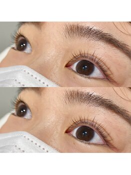 モードケイズ マノン(MODE K's MANON)/ラッシュリフト、まつげパーマ