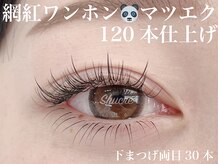 ビューティーサロン シュクレ 名駅店(shucre)/網紅ワンホン・マツエク