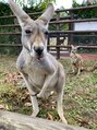 スリープ ジユウガオカ(Sleep jiyugaoka) 動物に癒されます。特に犬好きです♪
