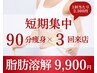 【3回券/短期集中】＠3,300！全身爆痩せ90分×3回セットコース¥36,000→