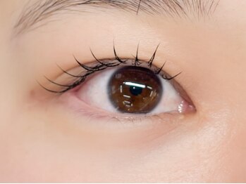 サレヤ(Sareya)/フラットラッシュ80本