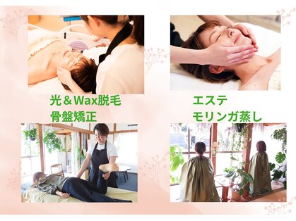 サーラ(SA-RA)の写真