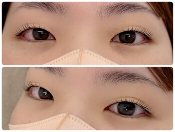 ピピ(pipi)/ねこまんま