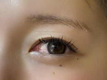 プリモ リコ 兵庫南店(Primo.rico)/マツエク40束