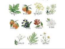 ヨサパーク ルル(YOSA PARK RuRu)の雰囲気(全身リンパマッサージで体スッキリ!更に☆曲線美ボディに驚き♪)